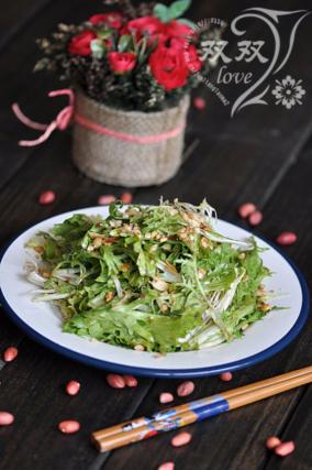 好吃的凉拌苦菊特色做法大全_菜谱-2345美食大全